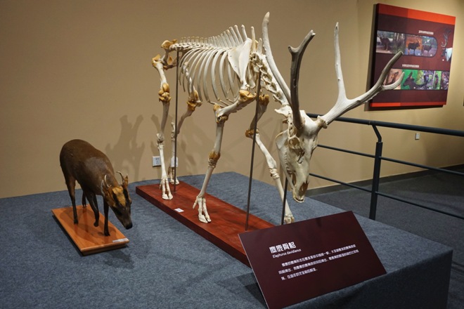 1513050032026076849.jpg 20170920145820619.jpg