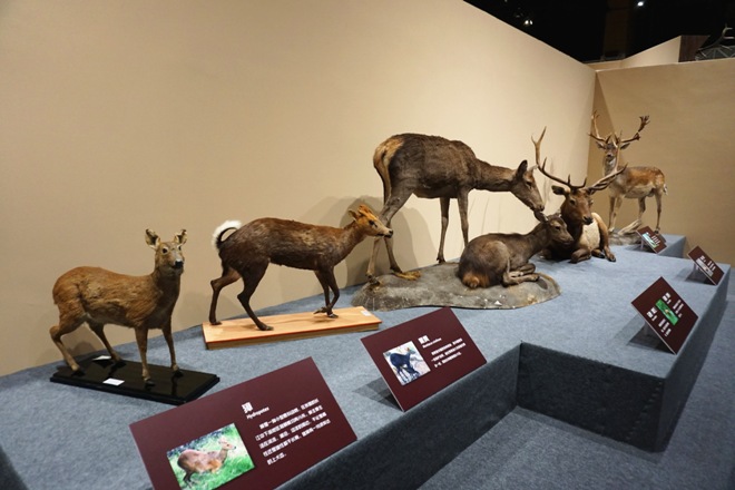 1513050059578064907.jpg 20170920145827985.jpg