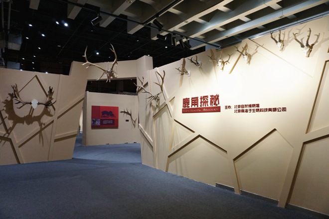 1513050103644009555.jpg 20170920145804721.jpg