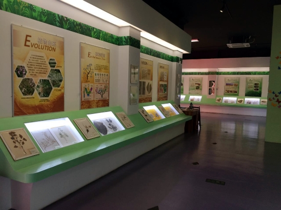 1513478518455006522.jpg 20170927144040803.jpg