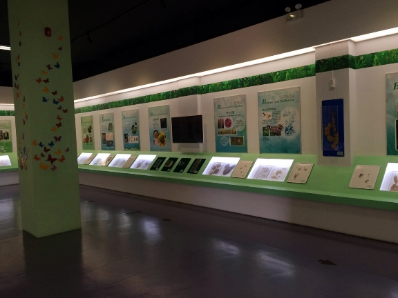 1513478555224029652.jpg 20170927144048436.jpg