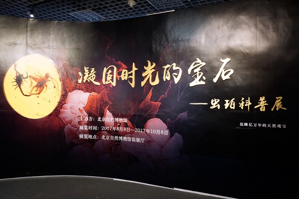 1513478907692048000.jpg 20170808104954855.jpg