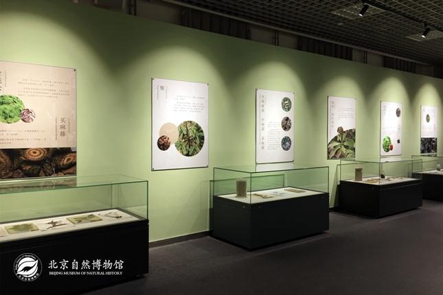 1514959948853069816.jpg 20171229110948620.jpg