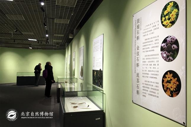 1514960094226089703.jpg 20171229110937523.jpg