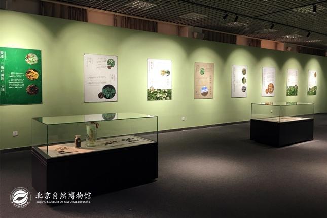 1514960131051088610.jpg 20171229110956977.jpg