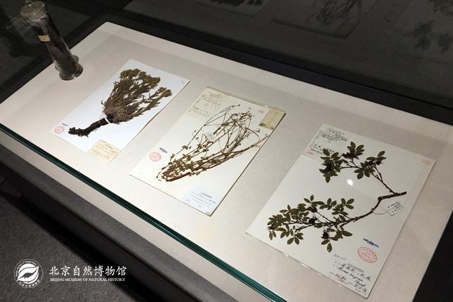 1514960151165081987.jpg 20171229111004157.jpg