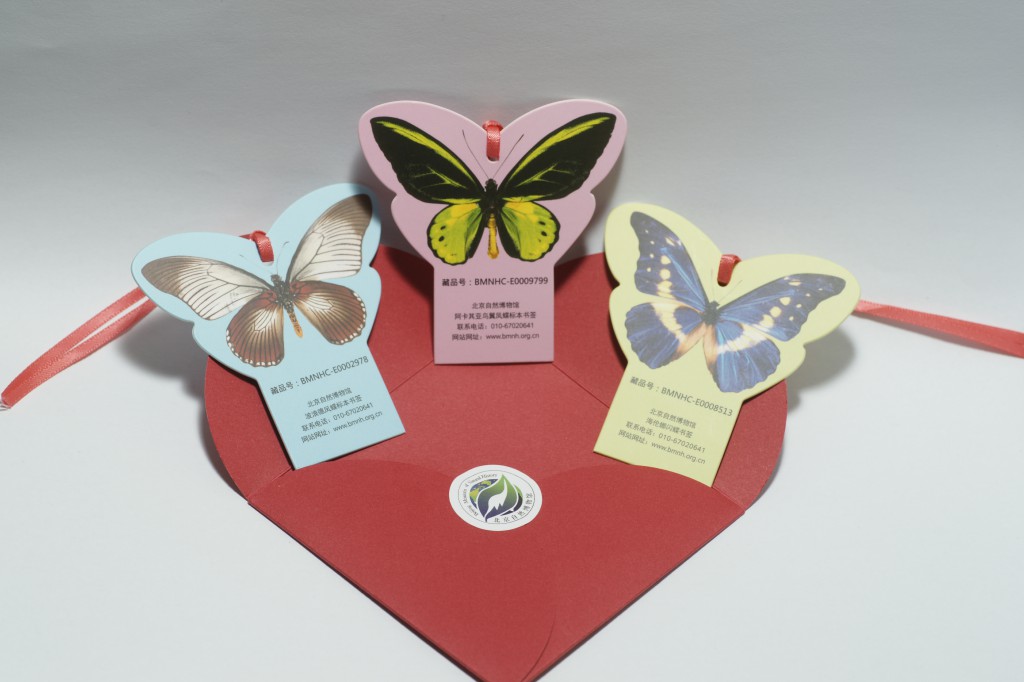 ������ǩ