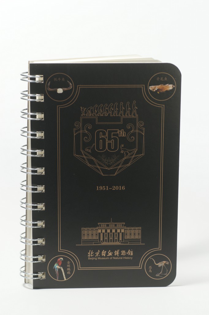 65�������ʼǱ�