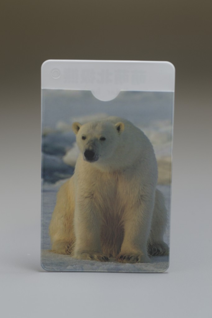 �����ܿ���