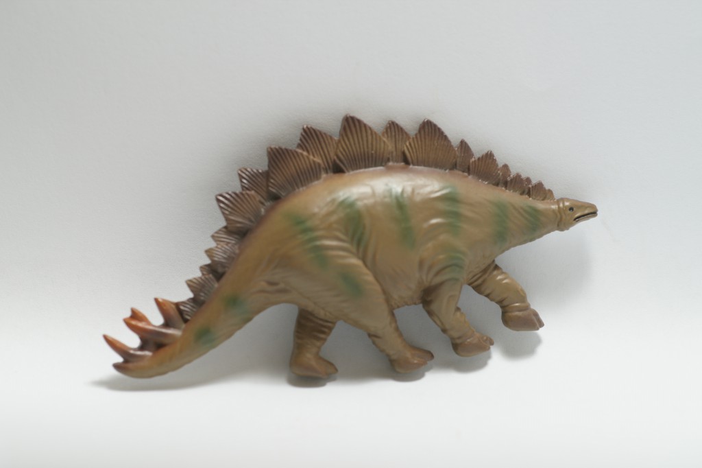 ����������ϵ��