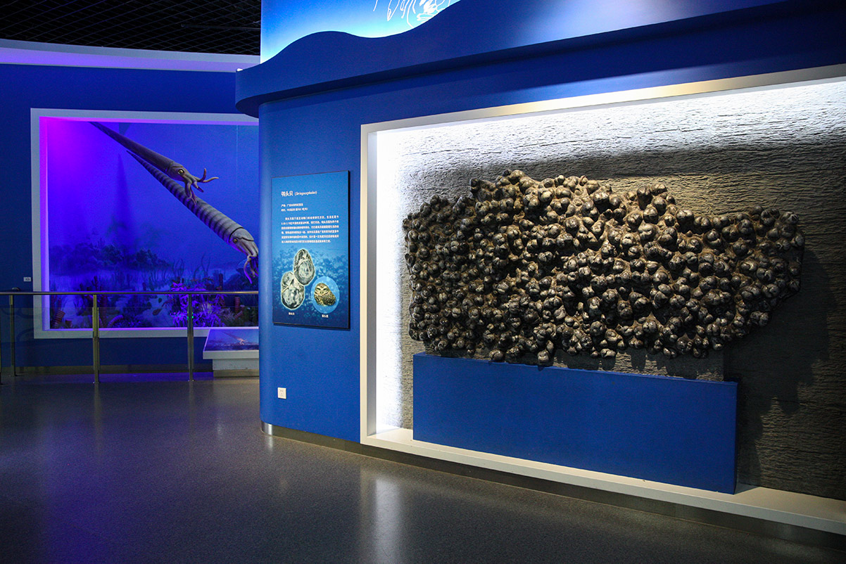 1517717435294017028.jpg IMG_1713副本.jpg