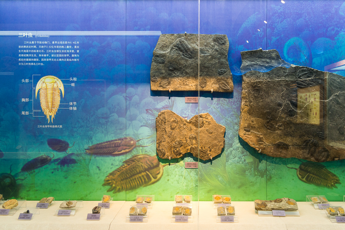 1517717995132032873.jpg DSC_7095.jpg