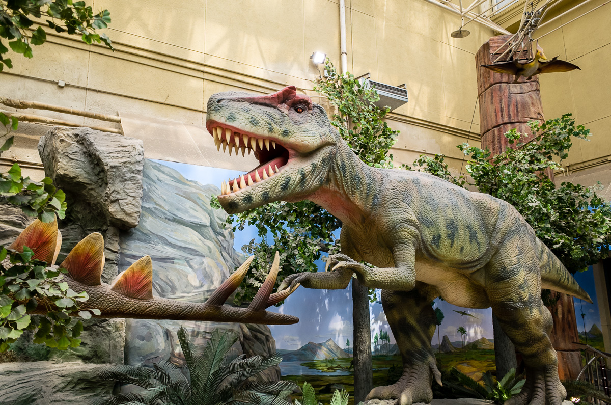 1517799175275023072.jpg SC000566.jpg