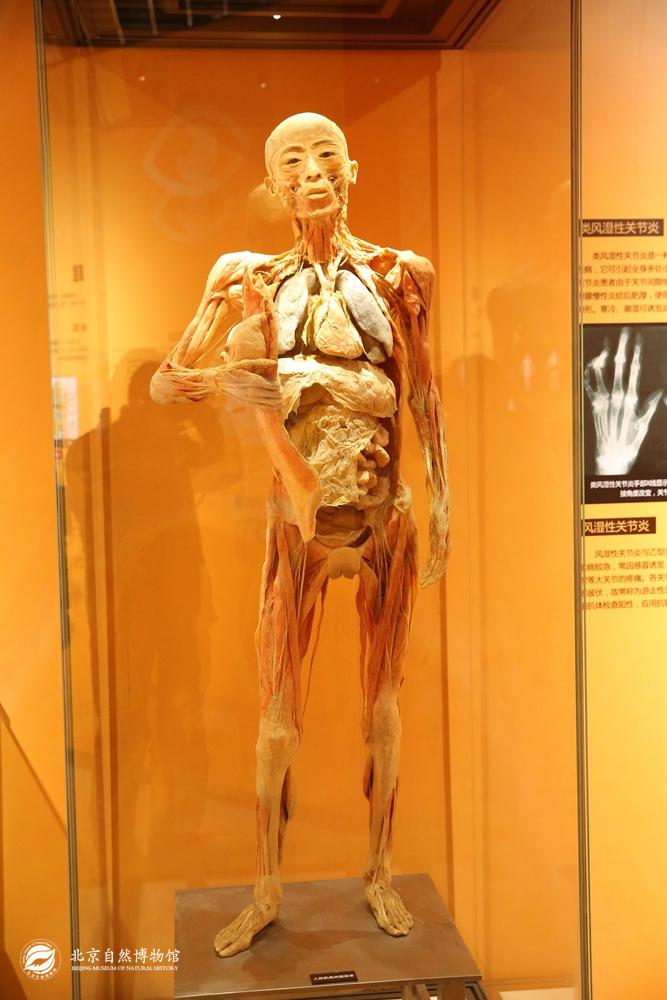 Ů����������