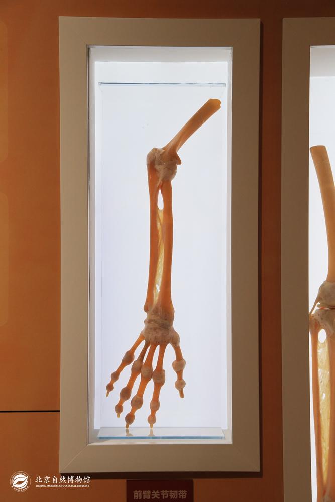 ǰ�۹ؽ��ʹ�