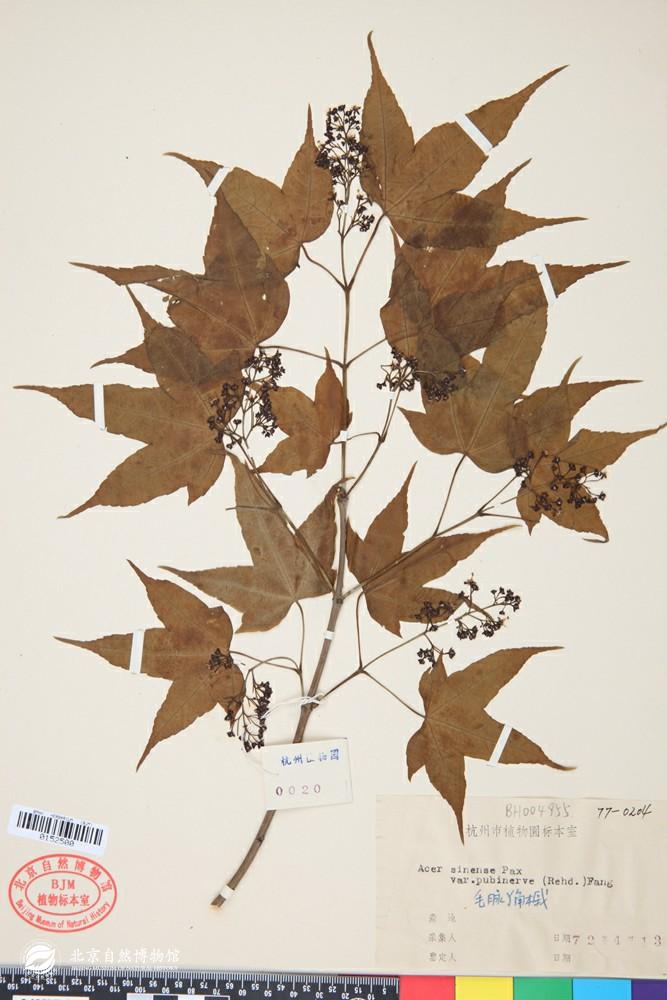 ë�������