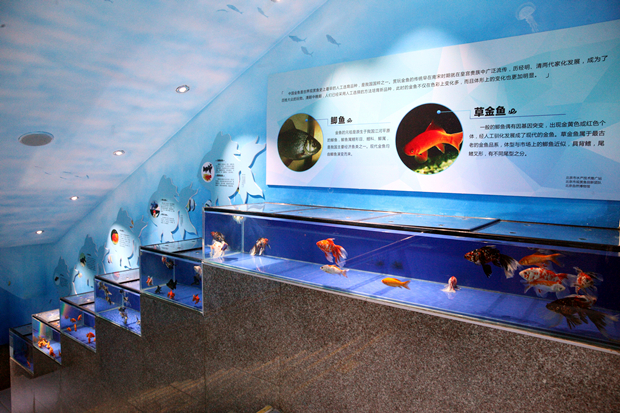 1525243459830011008.jpg 20170916101744106.jpg