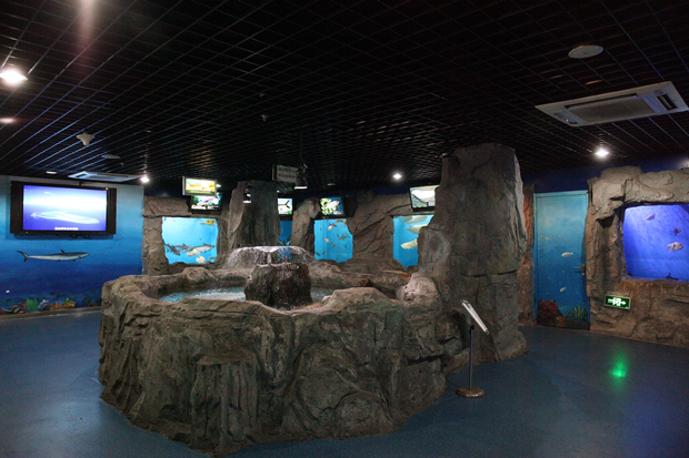 1525243713019097028.jpg 20170916101755242.jpg