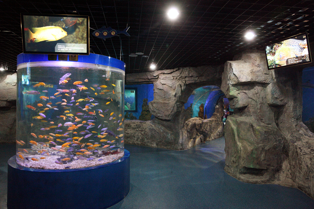 1525243731083076197.jpg 20170916101806373.jpg