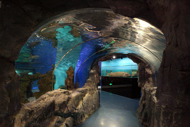 1525243741208019124.jpg 20170916101815801.jpg