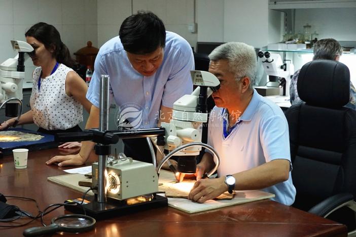 1528356730099062855.jpg 2.jpg