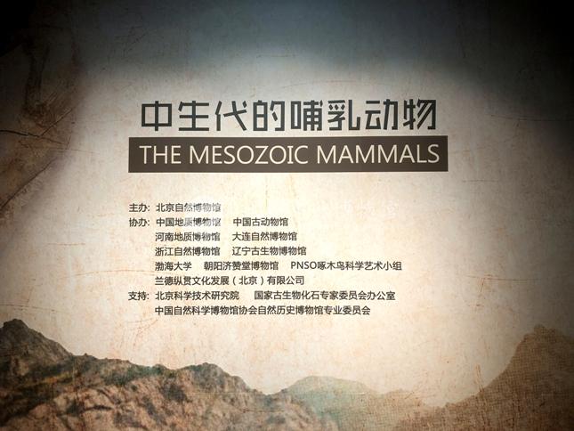 1528359162455070400.jpg 1.jpg