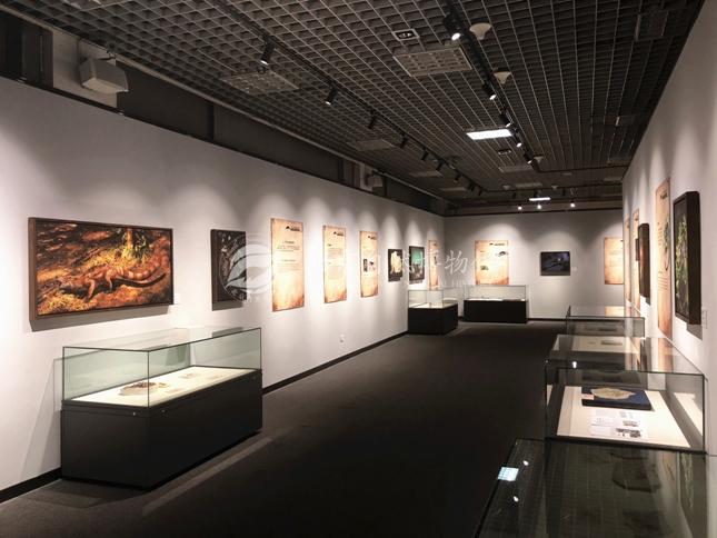 1528359174811012341.jpg 2.jpg