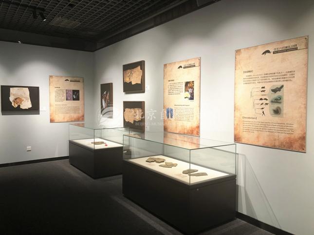 1528359186854057160.jpg 3.jpg