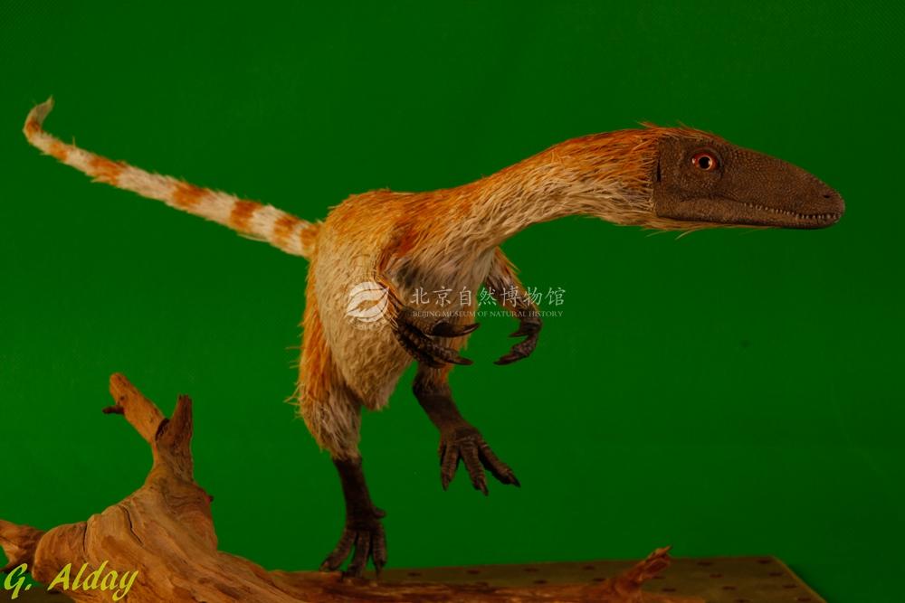 �л�����ԭģ��