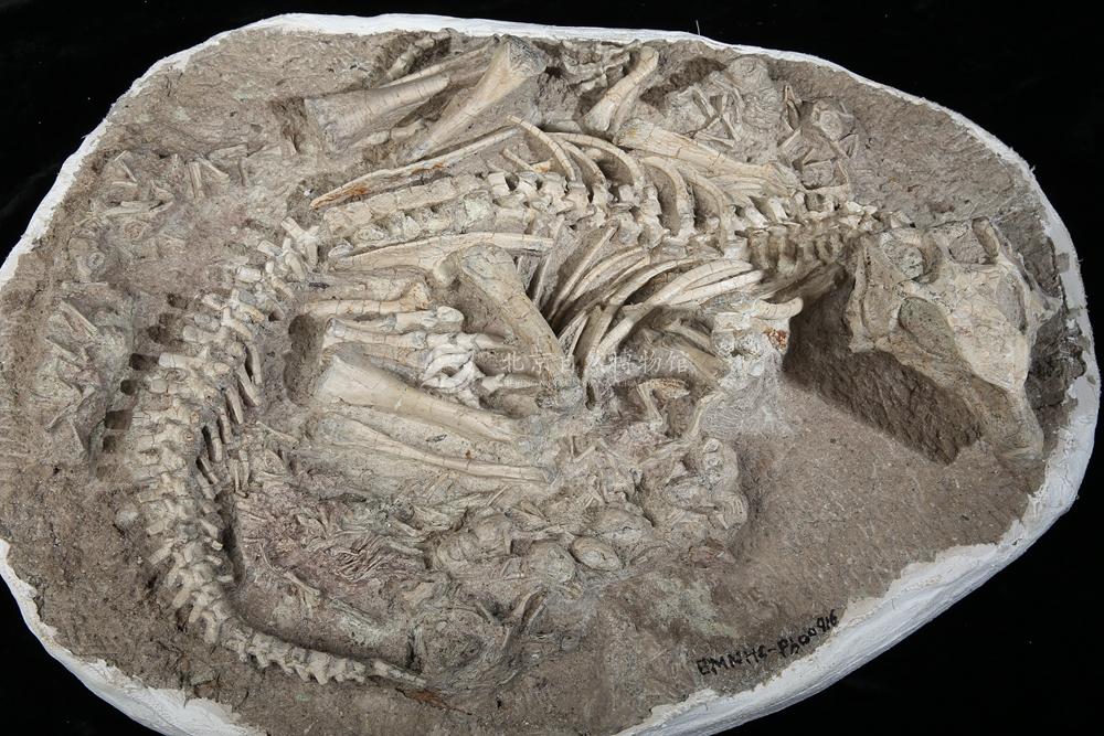 ������������