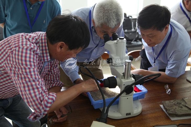 1528448147465074944.jpg 2与会专家镜下观察标本x.jpg