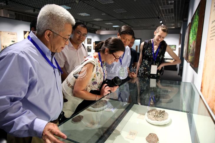 1528448239193061342.jpg 4与会专家学者参观“中生代的哺乳动物”特展1x.jpg