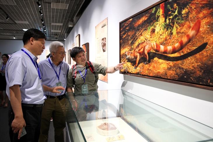1528448278771077818.jpg 5与会专家学者参观“中生代的哺乳动物”特展2x.jpg