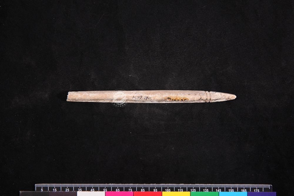 ԭʼ��Ṥ��--��������