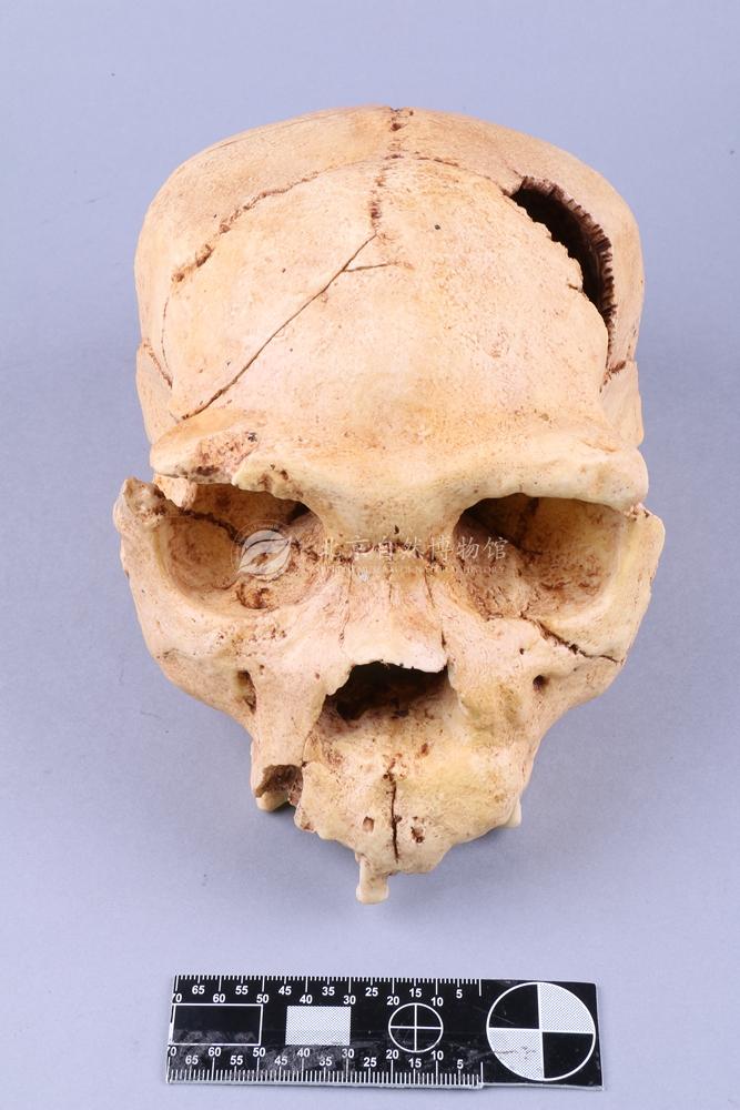 ���������±���ͷ��