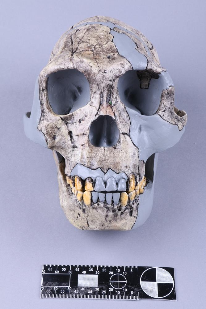 ���������� �������͵Ͽ��ؽ�