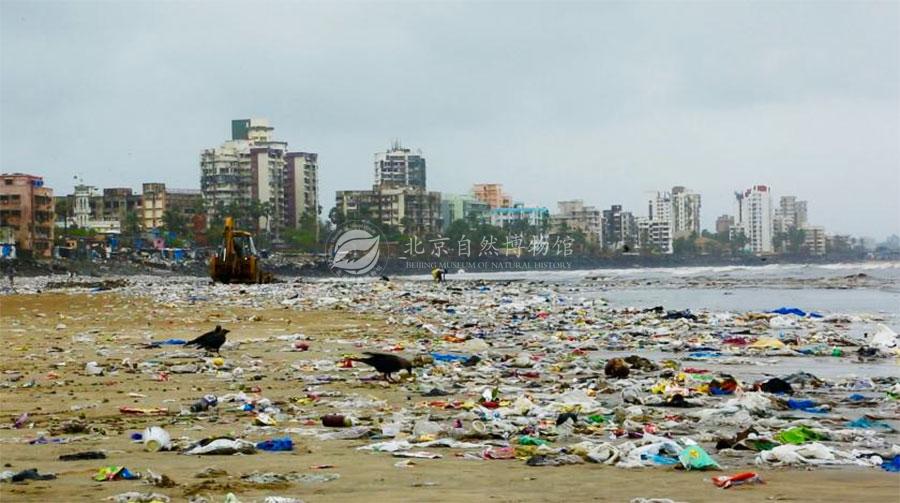 1528557560476025851.jpg ENV_Beach.jpg