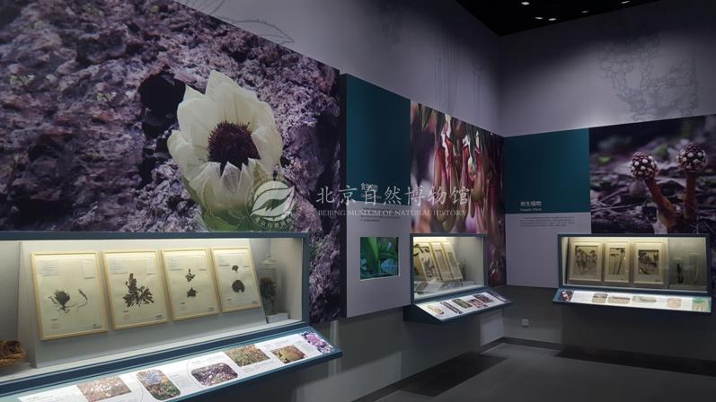 1529037055369087427.jpg 2.jpg