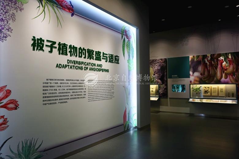 1529037083777024587.jpg 14.jpg