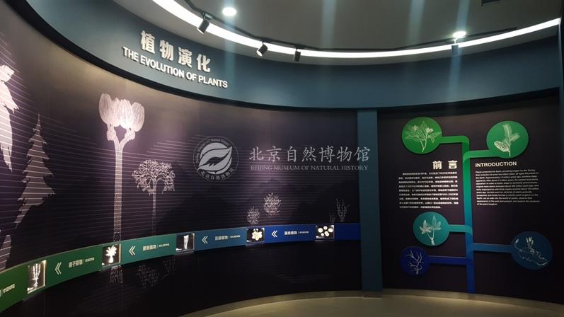 1529037103230090361.jpg 4.jpg