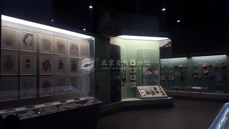 1529037115617085280.jpg 5.jpg