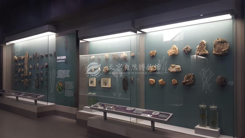 1529037126365092396.jpg 6.jpg