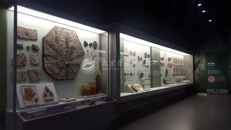 1529037173305073757.jpg 9.jpg