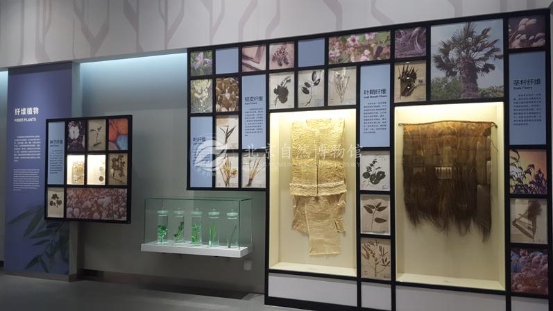 1529037191417098863.jpg 10.jpg