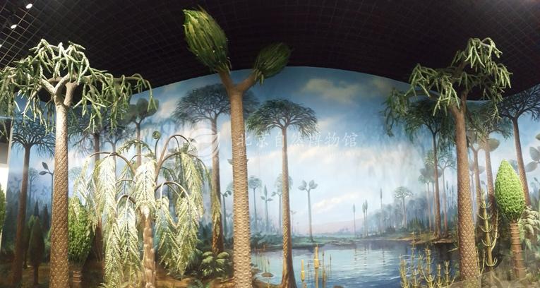 1529037229871037954.jpg 12.jpg