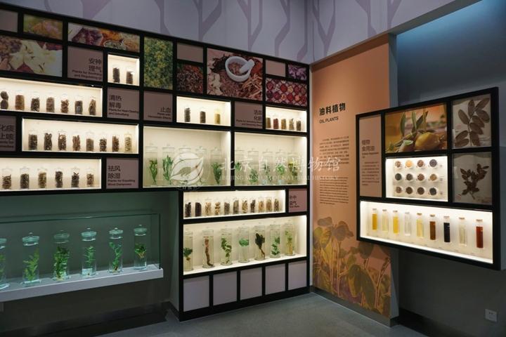 1529037248513091943.jpg 13.jpg