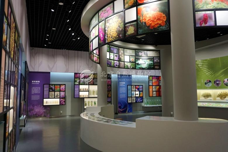 1529037279869032834.jpg 15.jpg