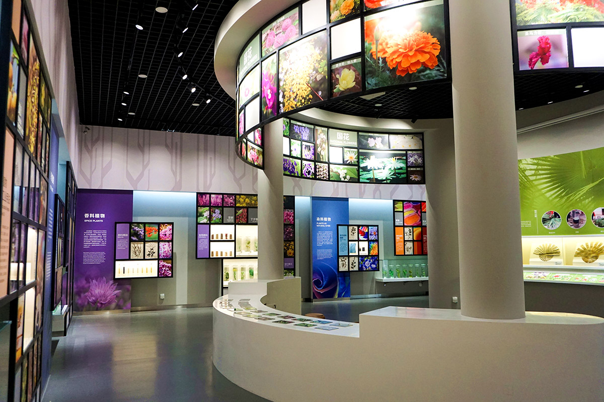 1529041389681048989.jpg u2.jpg