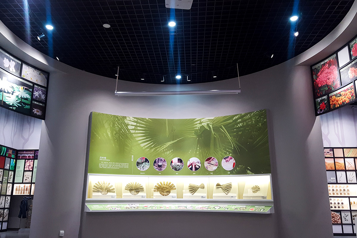 1529041399056031306.jpg u3.jpg