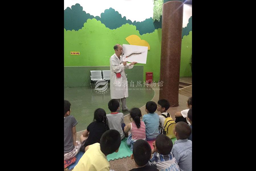 1529072399590091230.jpg DuanWu_Scene.jpg